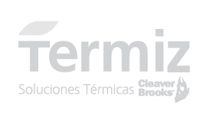 Logo Termiz