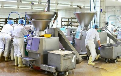 Tecnología en la Industria Alimentaria en México