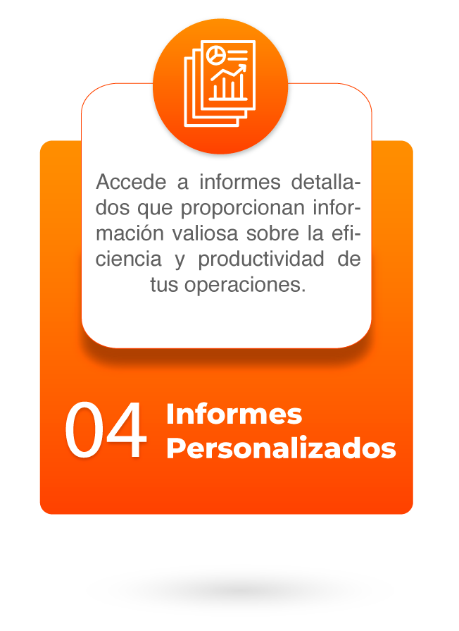 Informes personalizados